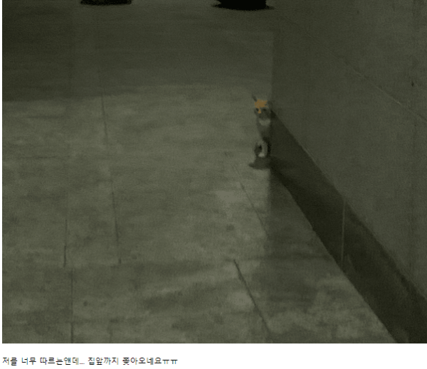 b34d1da739b8a364a3fcaa40da693a89_1760320189_5395.png